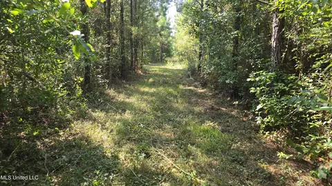 000 Davis Rd, Purvis, MS 39475 photo 37