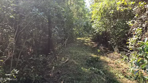 000 Davis Rd, Purvis, MS 39475 photo 34