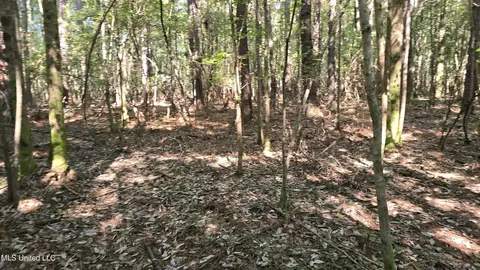 000 Davis Rd, Purvis, MS 39475 photo 18