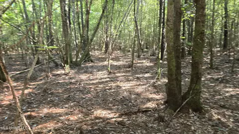 000 Davis Rd, Purvis, MS 39475 photo 12