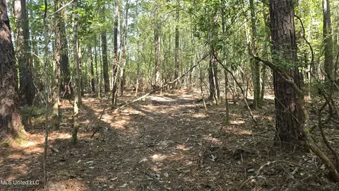 000 Davis Rd, Purvis, MS 39475 photo 27