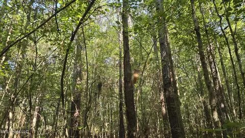 000 Davis Rd, Purvis, MS 39475 photo 19