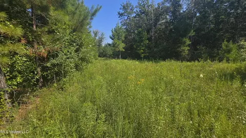 000 Davis Rd, Purvis, MS 39475 photo 47