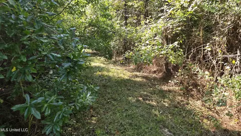 000 Davis Rd, Purvis, MS 39475 photo 32