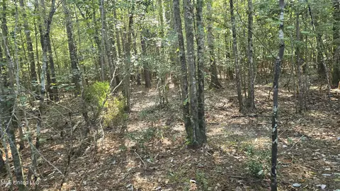 000 Davis Rd, Purvis, MS 39475 photo 2