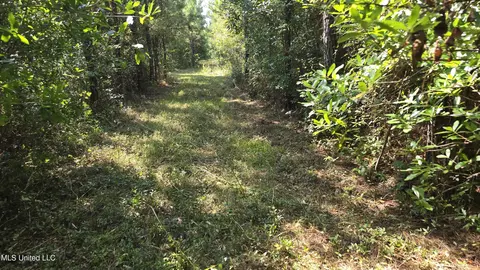 000 Davis Rd, Purvis, MS 39475 photo 36