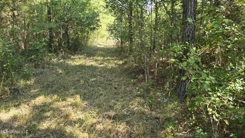 000 Davis Rd, Purvis, MS 39475 photo 30