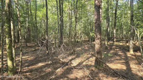 000 Davis Rd, Purvis, MS 39475 photo 3
