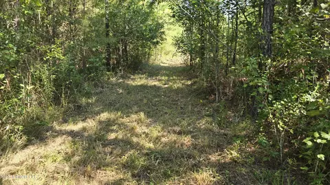 000 Davis Rd, Purvis, MS 39475 photo 29