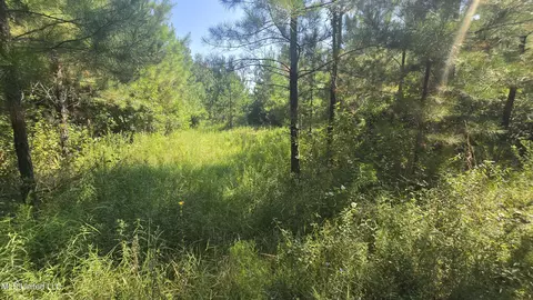 000 Davis Rd, Purvis, MS 39475 photo 48