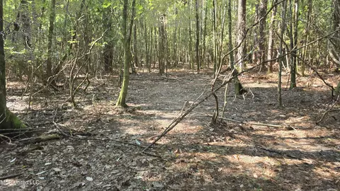 000 Davis Rd, Purvis, MS 39475 photo 7