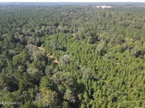 000 Davis Rd, Purvis, MS 39475 photo 38