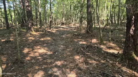 000 Davis Rd, Purvis, MS 39475 photo 26