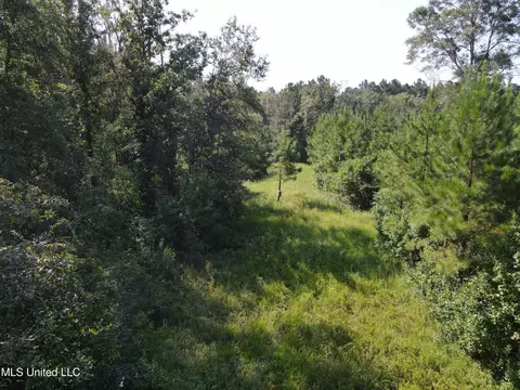 000 Davis Rd, Purvis, MS 39475