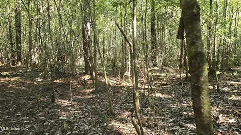 000 Davis Rd, Purvis, MS 39475 photo 13