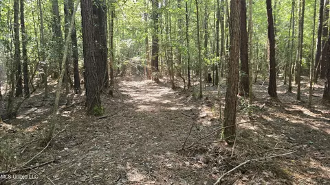 000 Davis Rd, Purvis, MS 39475 photo 24