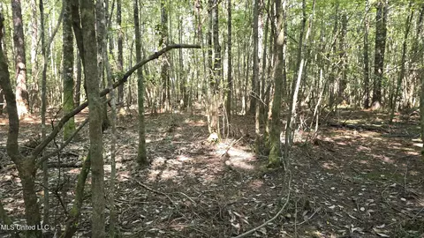000 Davis Rd, Purvis, MS 39475 photo 14