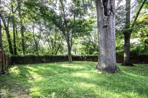 Exterior - 2905 Oxford Ave, Jackson, MS 39216 photo 6 of 8