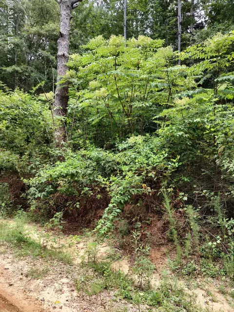 No Lakeshore Drive, Lumberton, MS 39455
