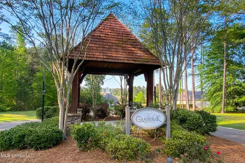 128 Grayhawk Dr, Madison, MS 39110 photo 56