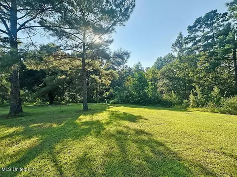 146 Hundred Acre Rd, Neely, MS 39461 photo 6