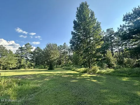 146 Hundred Acre Rd, Neely, MS 39461 photo 3