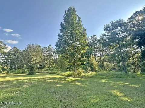 146 Hundred Acre Rd, Neely, MS 39461 photo 4