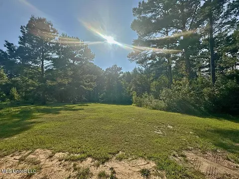 146 Hundred Acre Rd, Neely, MS 39461 photo 16