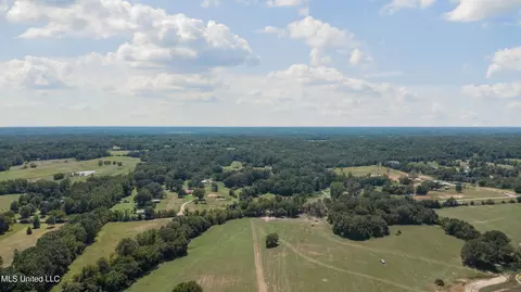 Peyton Road, Coldwater, MS 38618 photo 3