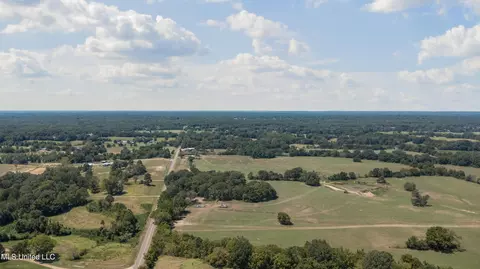 Peyton Road, Coldwater, MS 38618 photo 1