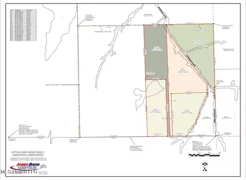 Peyton Road, Coldwater, MS 38618 photo 2