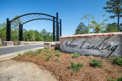 192 Arbor Vw, Brandon, MS 39047 photo 20