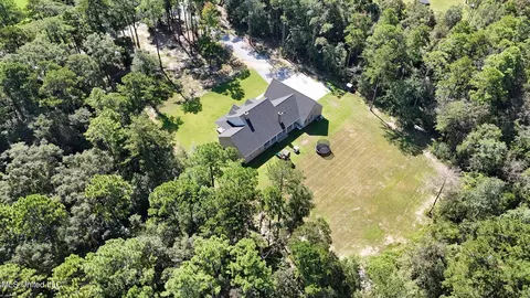 View/Area - 19255 Eli Dudley Rd, Moss Point, MS 39562 photo 6 of 6