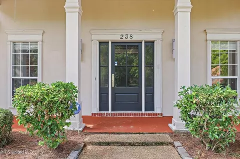 238 Mandarin Drive Dr, Brandon, MS 39047 photo 4