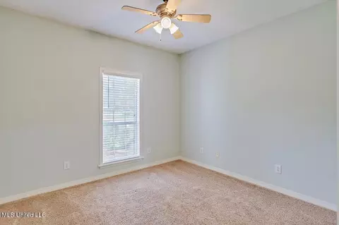 238 Mandarin Drive Dr, Brandon, MS 39047 photo 21