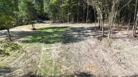 Cody Goldman Road, Lucedale, MS 39452 photo 2