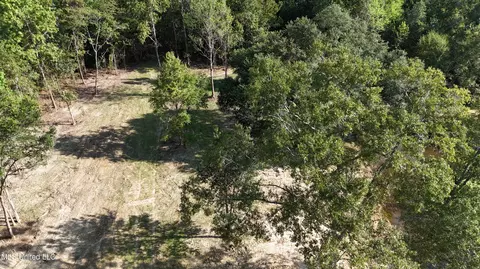 Cody Goldman Road, Lucedale, MS 39452 photo 7