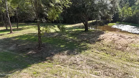 Cody Goldman Road, Lucedale, MS 39452 photo 3