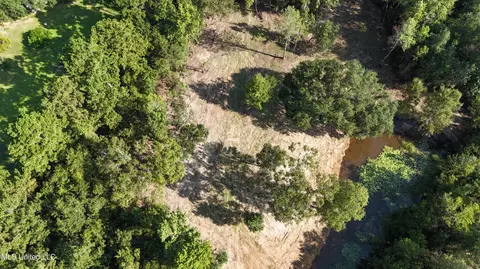 Cody Goldman Road, Lucedale, MS 39452 photo 6