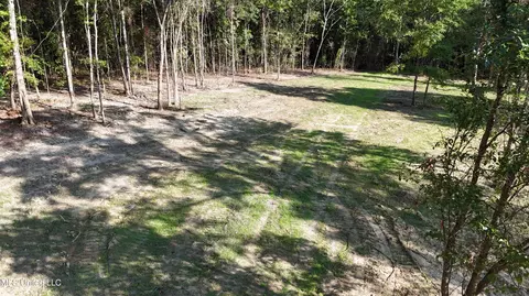 Cody Goldman Road, Lucedale, MS 39452 photo 5