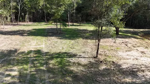 Cody Goldman Road, Lucedale, MS 39452 photo 4