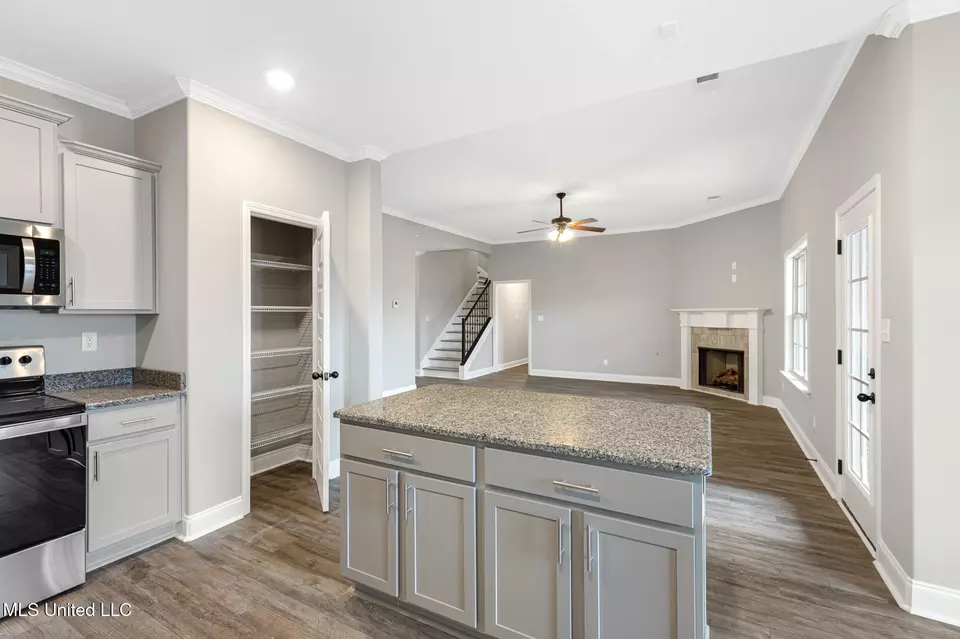 Entry Way - 705 Lucas Ln, Hernando, MS 38632 photo 2 of 2