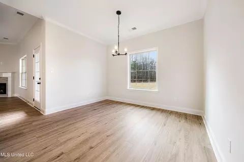 705 Lucas Ln, Hernando, MS 38632 photo 18