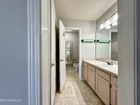 Bath - 306 Evergreen Way, Brandon, MS 39047 photo 1 of 4