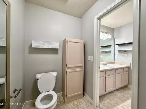Bath - 306 Evergreen Way, Brandon, MS 39047 photo 2 of 4