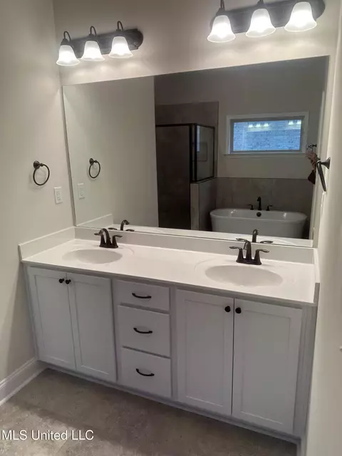 Bath - 944 Collie Dr, Hernando, MS 38632 photo 2 of 4