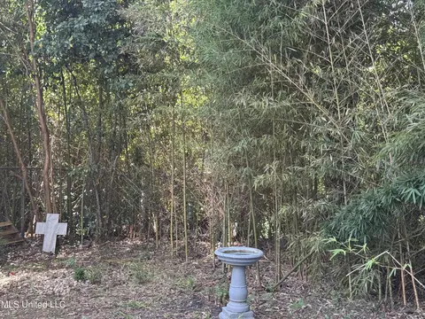 32 Pecanway Dr, Natchez, MS 39120 photo 49