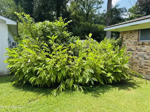 32 Pecanway Dr, Natchez, MS 39120 photo 50