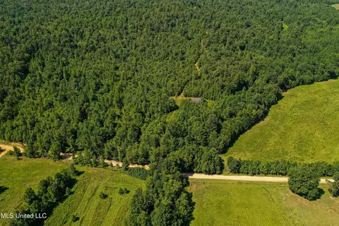 2295 Chapman Rd, Falkner, MS 38629