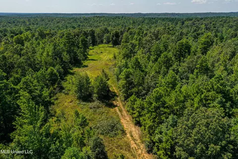 2295 Chapman Rd, Falkner, MS 38629